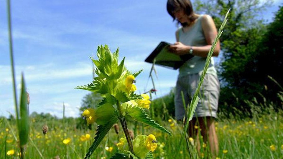 Създават паралелки по агроекология и фризьорство в Кърджалийско | StandartNews.com