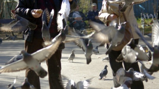 Слънчево и топло в четвъртък