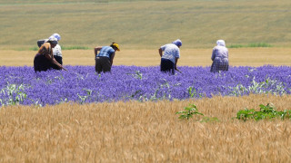 2400 лв. за шеф в министерство