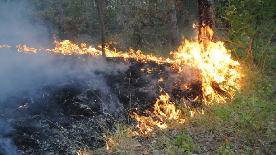 Пожарът край Елхово обхвана над 10 000 дка | StandartNews.com