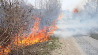 Пожари на всеки час в Пиринско