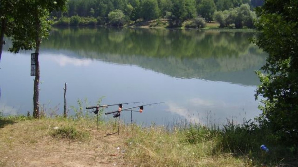 Губернатор нищи далавера с водоем | StandartNews.com