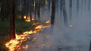 Пожар замалко не изгори село