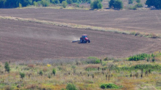 Чакат сняг заради пшеницата