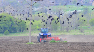 Отказват ваучери за гориво заради страх от ментета