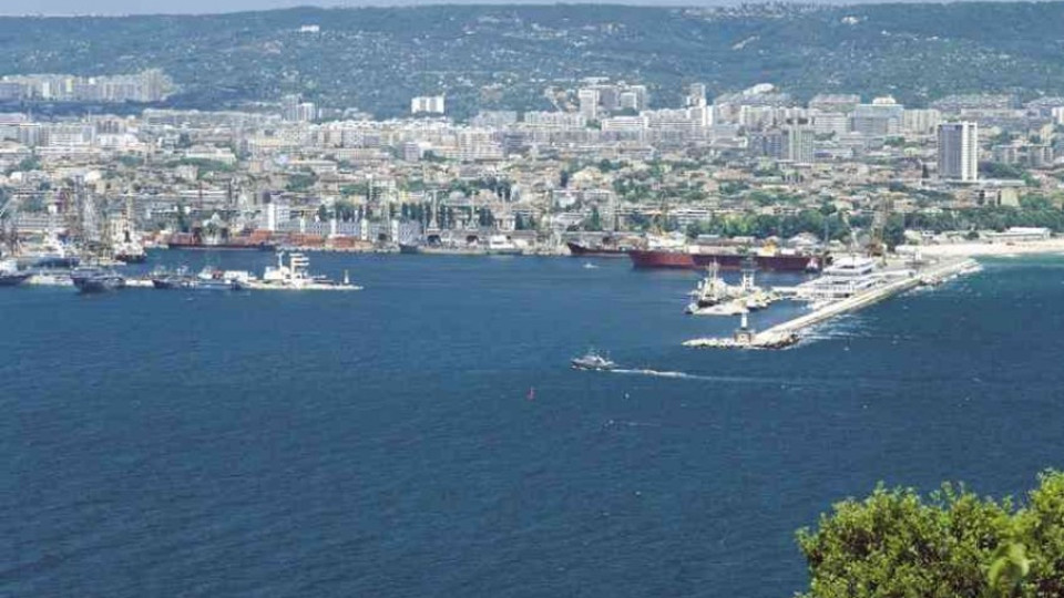 Морската вода край Албена е чиста, кметството в Добрич раздава белина | StandartNews.com