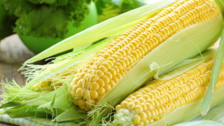 Яж и отслабвай! Чудни ползи от царевицата