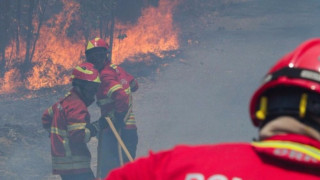 Португалия обяви тридневен национален траур