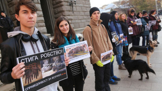 Вегани и протестанти на протест (ОБЗОР)