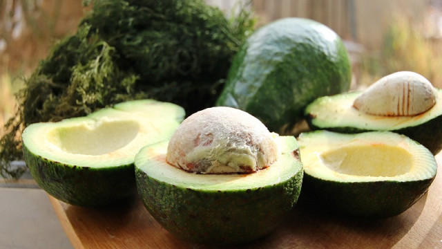 Surprise!  The pit of an avocado hides a bunch of benefits
 – 2024-03-02 20:15:08