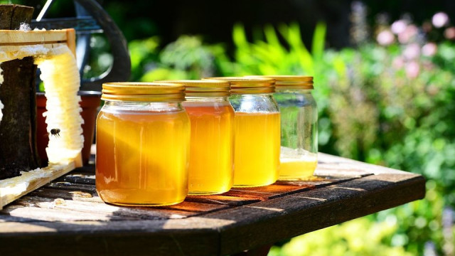 They introduce stricter rules for honey in the European Union
 – 2024-04-11 08:44:45