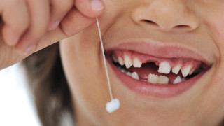 Революционна новина! Край на зъбните протези, растат ни нови зъби като на децата