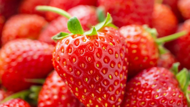 Strawberries rejuvenate us.  How one can do a spring detox food plan
 – 2024-06-01 20:28:06