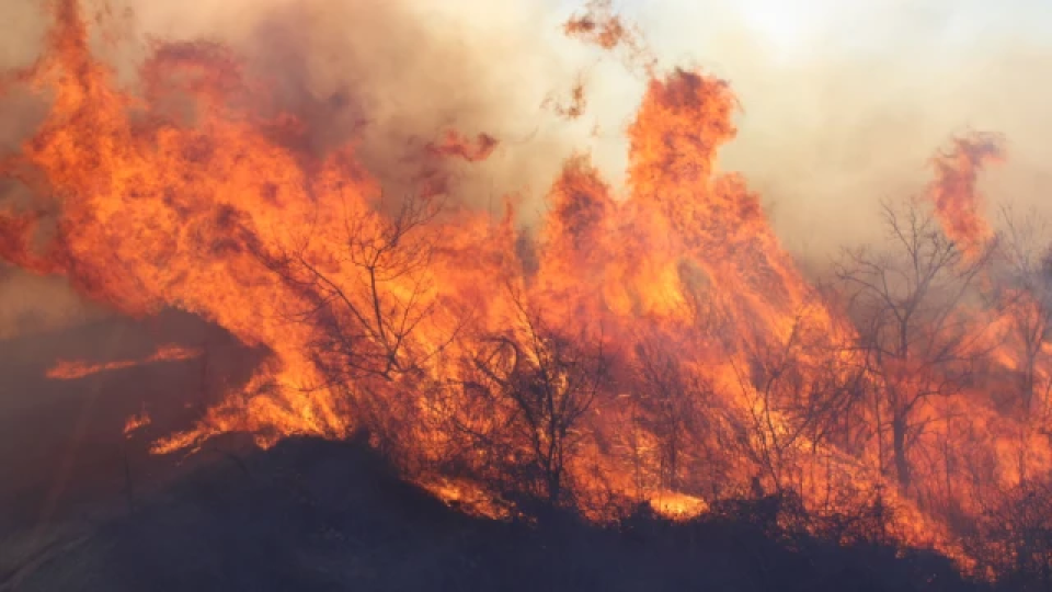 Страшен пожар бушува между две села | StandartNews.com