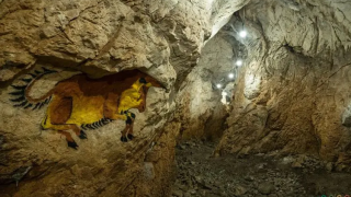 Пещера в Родопите била ползвана за обиталище