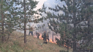 Гръцки пожар отново заплашва България