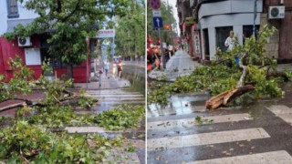 Бурята помете наш град. Летят дървета