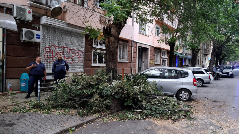 Неочаквана драма на знаково място в София!