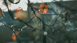 Потопът продължава! Бури и дъжд удрят и днес части от България