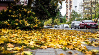 Рязка промяна на времето. Вадете по-дебелите дрехи