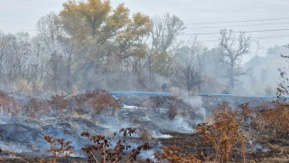 На бунт се вдигнаха жители на село Катуниця. Причината