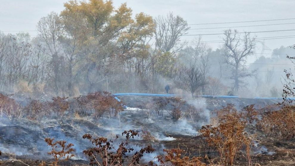 На бунт се вдигнаха жители на село Катуниця. Причината | StandartNews.com