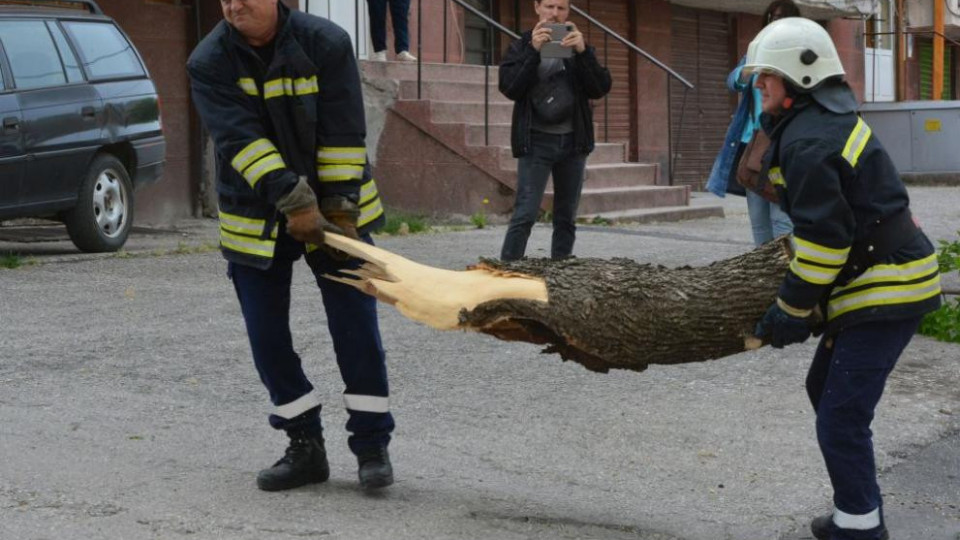 Ураган помете наш град. Хората в паника | StandartNews.com