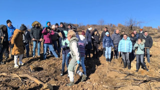 Доброволци от БАКБ засадиха дървета до Стара Загора