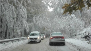 Адът на Петрохан. Известна личност побесня и нападна шофьорите