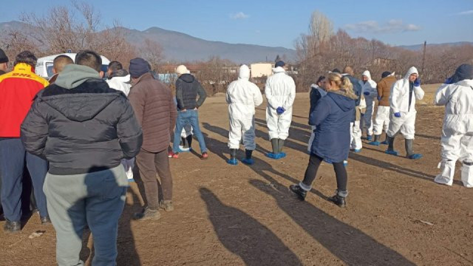 БАБХ изпрати във Франция пробите от заразените животни във Велинград | StandartNews.com