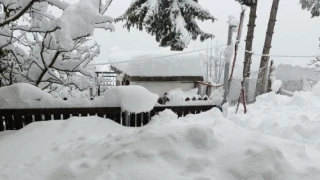 Приказно село бедства! Два метра сняг, 7 дни без ток и телефон