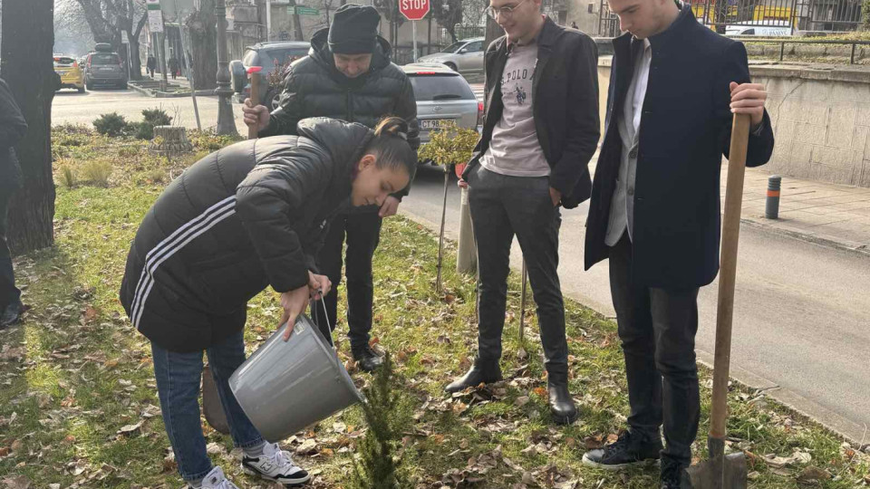 „Чудната елха“ изпълни благородната си мисия – символът на добротата бе засаден | StandartNews.com