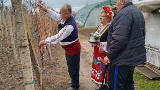 Ароматно вино ще се лее в старозагорското село Оряховица на Трифон Зарезан